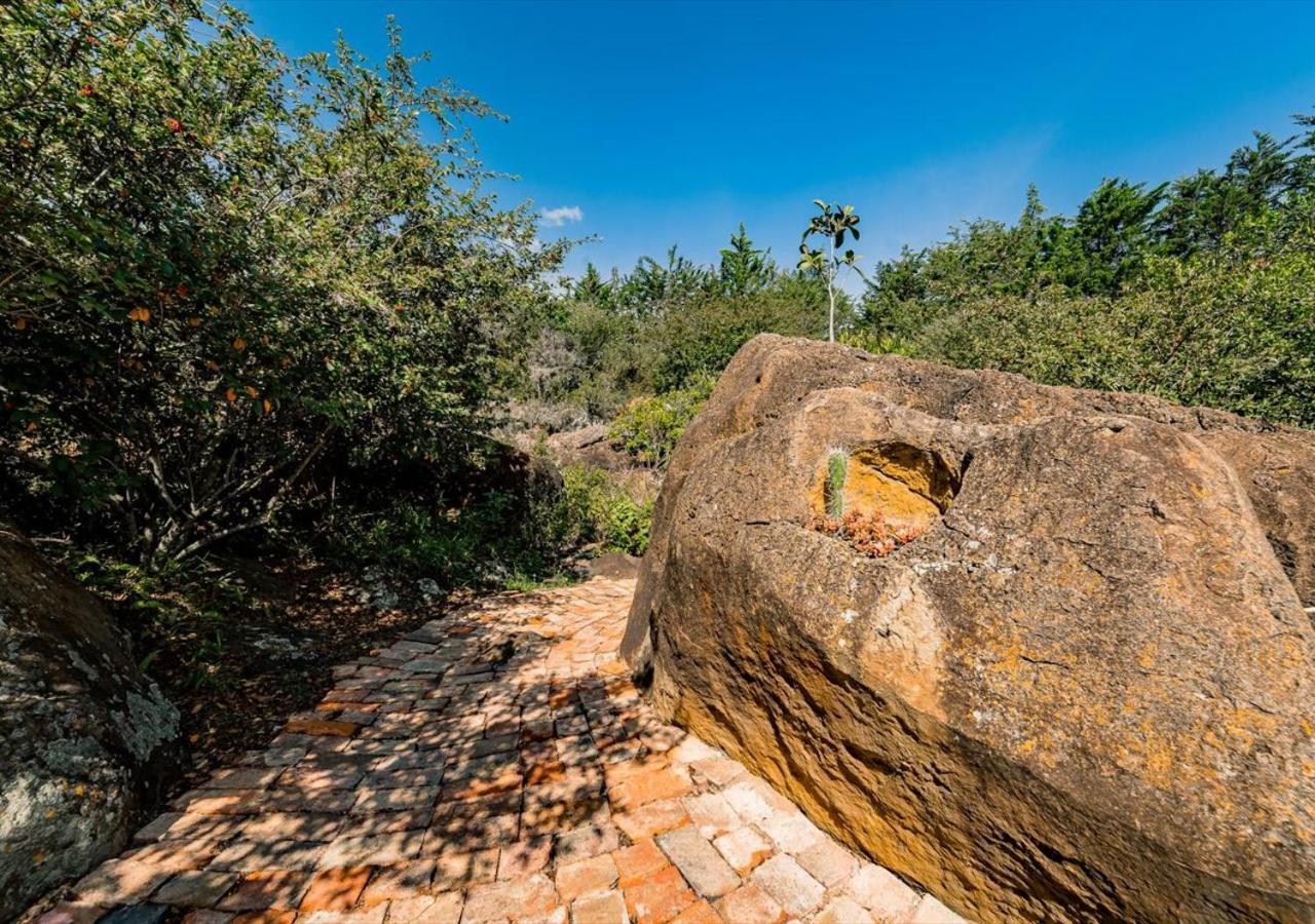 El Hayuelo Ecolodge Villa de Leyva Eksteriør bilde